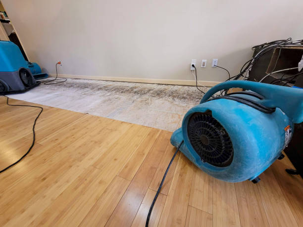 Professional Burst Pipe Water Damage technician working in Charlestown, MD